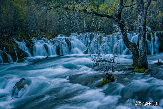 焦虑、抑郁、失眠是为什么？可能与肠道菌群有关！建议调节有改善
